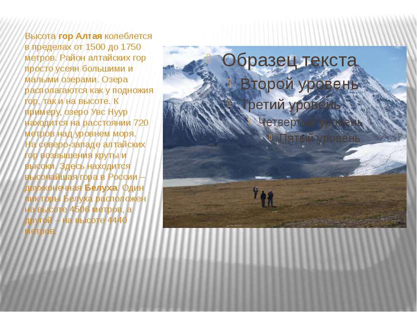 Высота гор Алтая колеблется в пределах от 1500 до 1750 метров. Район алтайски...