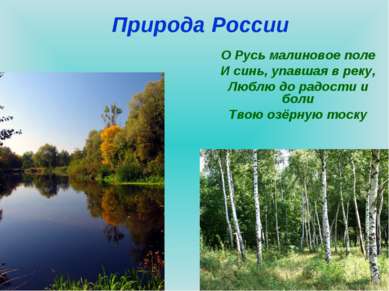 Природа России О Русь малиновое поле И синь, упавшая в реку, Люблю до радости...