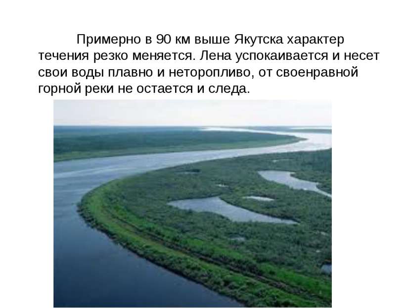 Примерно в 90 км выше Якутска характер течения резко меняется. Лена успокаива...