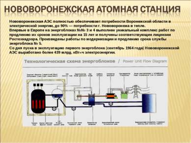 Нововоронежская АЭС полностью обеспечивает потребности Воронежской области в ...