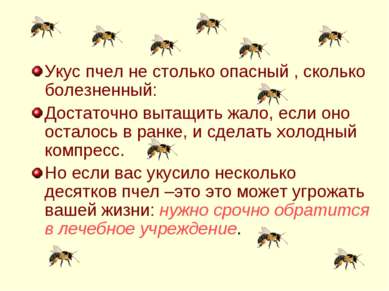 Укус пчел не столько опасный , сколько болезненный: Достаточно вытащить жало,...