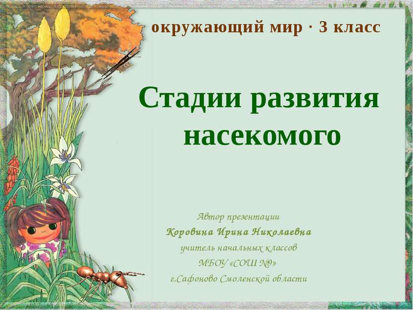 Стадии развития насекомого Автор презентации Коровина Ирина Николаевна учител...