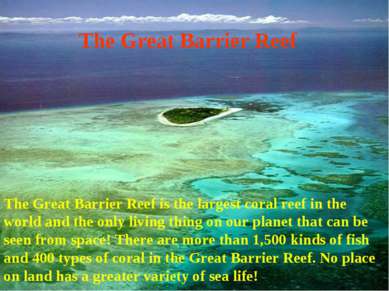 The Great Barrier Reef The Great Barrier Reef is the largest coral reef in th...