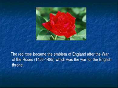 The red rose became the emblem of England after the War of the Roses (1455-14...