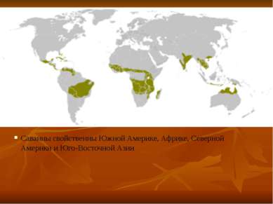 Саванны свойственны Южной Америке, Африке, Северной Америки и Юго-Восточной Азии