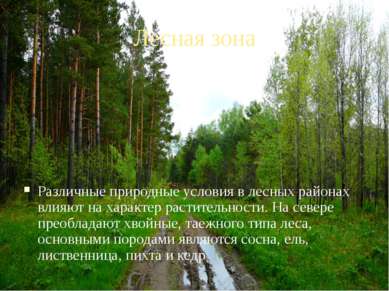 Лесная зона Различные природные условия в лесных районах влияют на характер р...