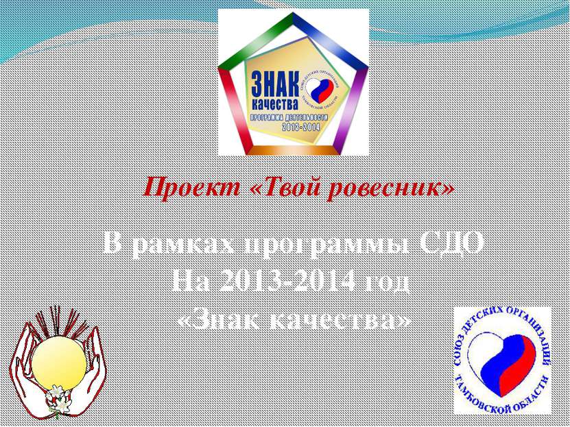 Проект «Твой ровесник» В рамках программы СДО На 2013-2014 год «Знак качества»