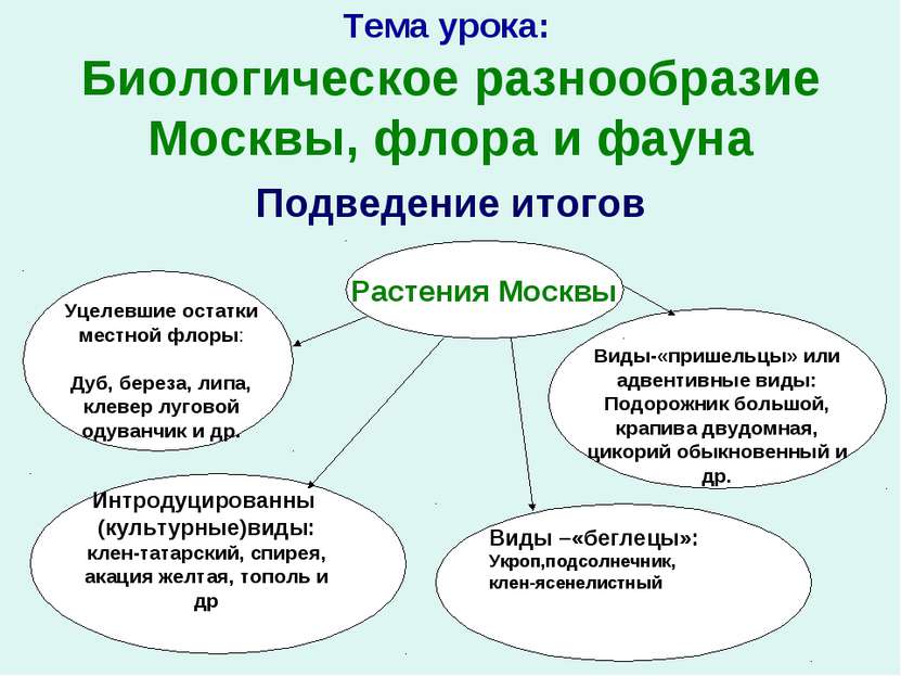Тема урока: Биологическое разнообразие Москвы, флора и фауна Подведение итого...