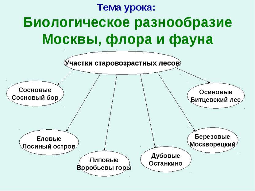 Тема урока: Биологическое разнообразие Москвы, флора и фауна Участки старовоз...