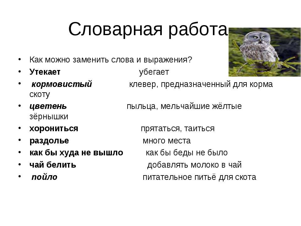 Приносящий заменить слово. Как можно заменить слово что. Как можно заменить слово работа. Значение слова кормовистый. Как можно заменить слово как.