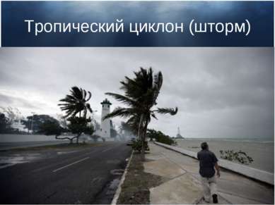 Тропический циклон (шторм)