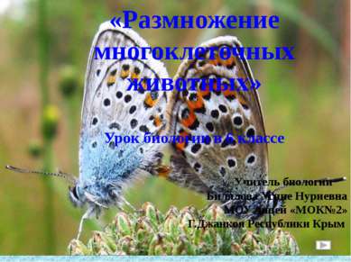 «Размножение многоклеточных животных» Урок биологии в 6 классе Учитель биолог...