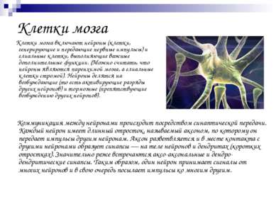Клетки мозга Клетки мозга включают нейроны (клетки, генерирующие и передающие...