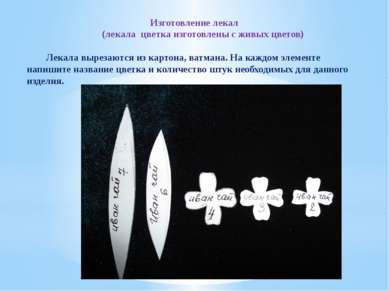 Изготовление лекал (лекала цветка изготовлены с живых цветов) Лекала вырезают...