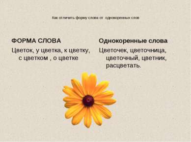 Как отличить форму слова от однокоренных слов ФОРМА СЛОВА Цветок, у цветка, к...