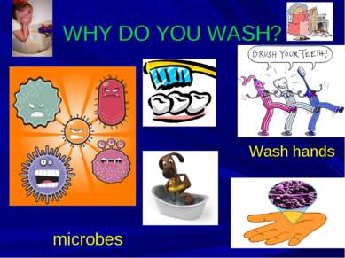 WHY DO YOU WASH? microbes Wash hands