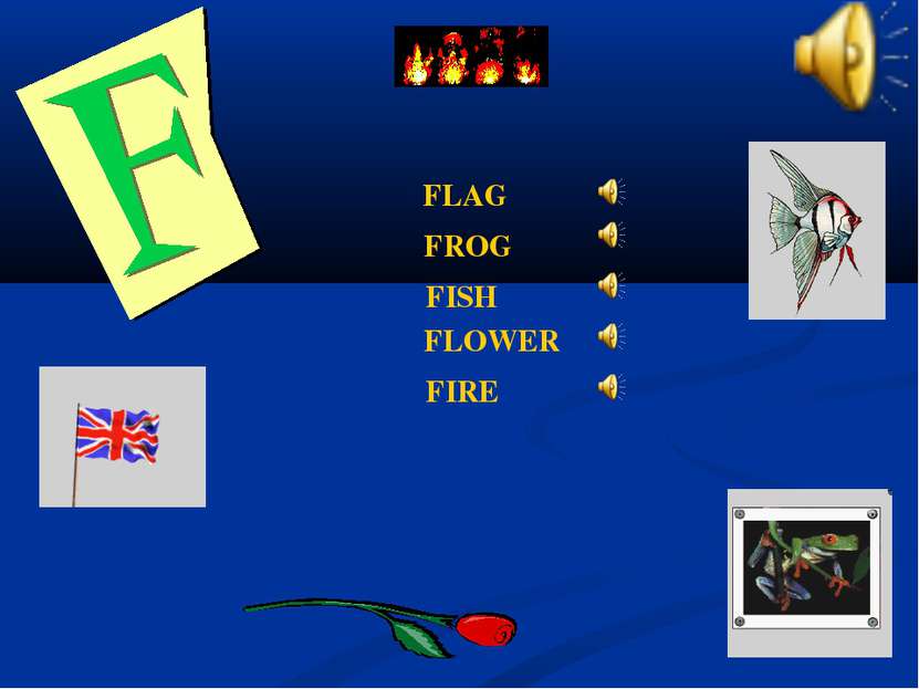 FLAG FLOWER FISH FIRE FROG