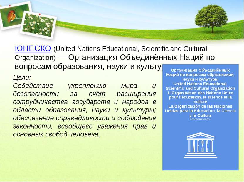 ЮНЕСКО (United Nations Educational, Scientific and Cultural Organization) — О...