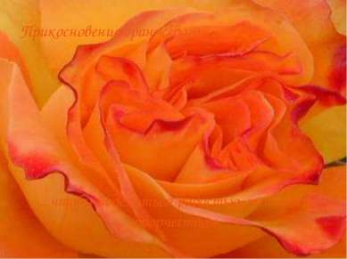 Прикосновение оранжевого... ...чтобы поделиться радостью, теплом и творчеством