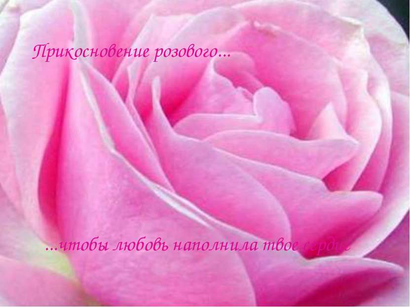 Прикосновение розового... ...чтобы любовь наполнила твое сердце