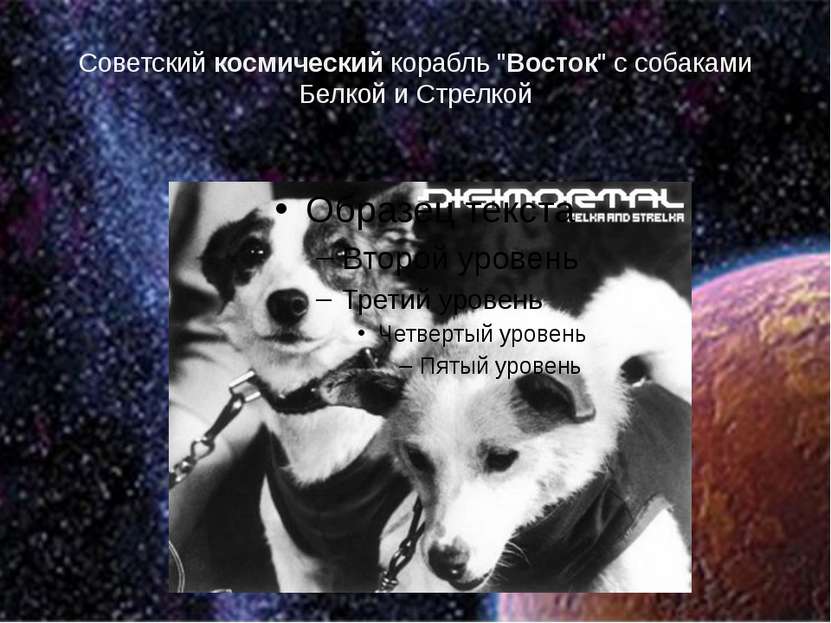 Советский космический корабль "Восток" с собаками Белкой и Стрелкой