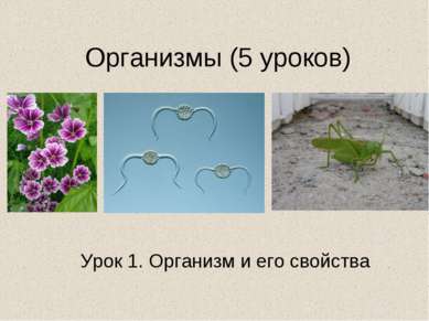 Организмы (5 уроков) Урок 1. Организм и его свойства