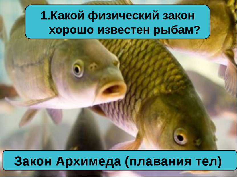Какой физический закон хорошо известен рыбам? Закон Архимеда (плавания тел)