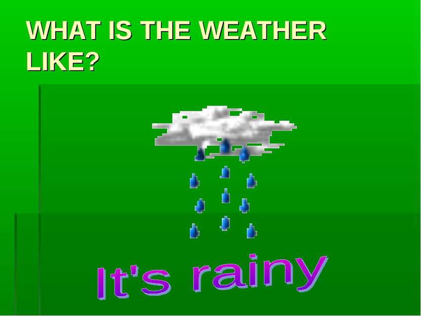 WHAT IS THE WEATHER LIKE?