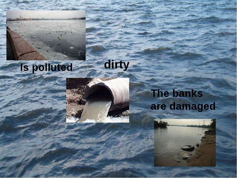 Is polluted The banks are damaged dirty