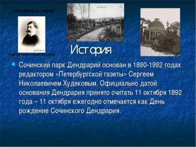 История Сочинский парк Дендрарий основан в 1890-1992 годах редактором «Петерб...