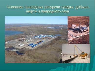 Освоение природных ресурсов тундры: добыча нефти и природного газа