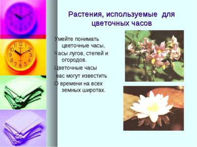 Растения, используемые для цветочных часов Умейте понимать цветочные часы, Ча...