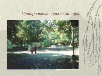 Центральный городской парк.