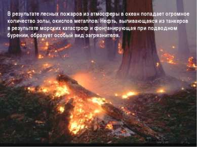 В результате лесных пожаров из атмосферы в океан попадает огромное количество...