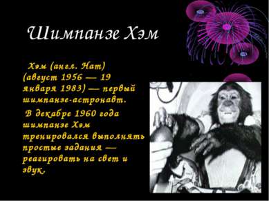 Шимпанзе Хэм Хэм (англ. Ham) (август 1956 — 19 января 1983) — первый шимпанзе...