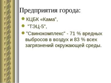 Предприятия города: КЦБК «Кама", "ТЭЦ-5", "Свинокомплекс" - 71 % вредных выбр...