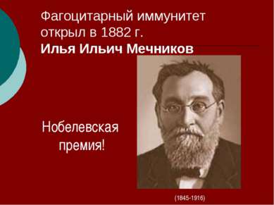 Фагоцитарный иммунитет открыл в 1882 г. Илья Ильич Мечников (1845-1916) Нобел...
