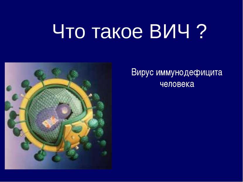 Что такое ВИЧ ? Вирус иммунодефицита человека