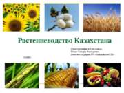 Растениеводство Казахстана