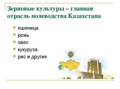 Зерновые культуры – главная отрасль полеводства Казахстана пшеница рожь овес ...