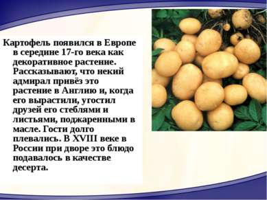 Картофель появился в Европе в середине 17-го века как декоративное растение. ...