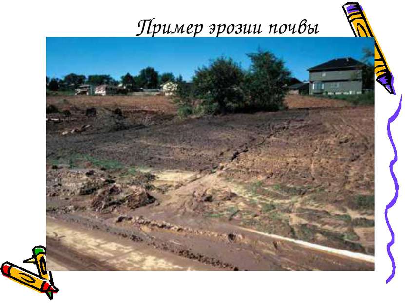 Пример эрозии почвы