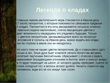 Легенда о кладах Главным героем растительного мира становился в Иванов день (...