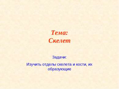 Тема: Скелет Задачи: Изучить отделы скелета и кости, их образующие