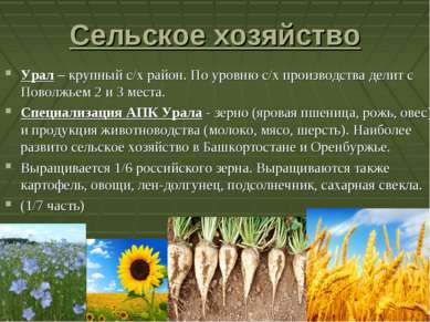 Сельское хозяйство Урал – крупный с/х район. По уровню с/х производства делит...