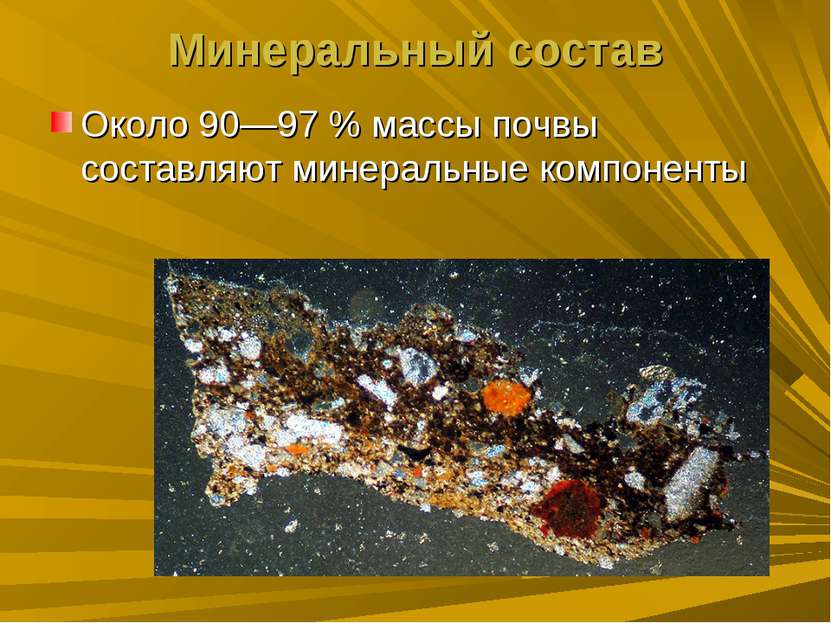 Минеральный состав Около 90—97 % массы почвы составляют минеральные компоненты