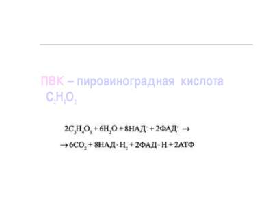 ПВК – пировиноградная кислота С3Н4О3