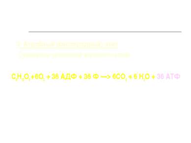 3. Аэробный (кислородный) этап Суммарное уравнение аэробного этапа: С6Н12О6 +...