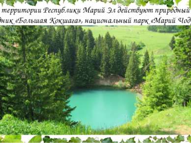 На территории Республики Марий Эл действуют природный заповедник «Большая Кок...