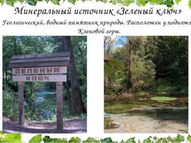 Минеральный источник «Зеленый ключ»  Геологический, водный памятник природы. ...